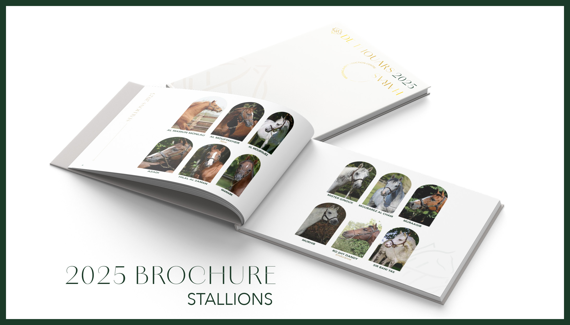 horse-book